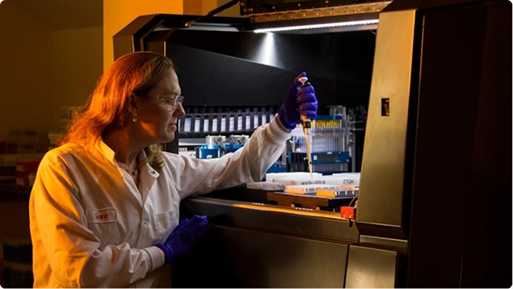 ISTQB Foundation Level(Chapter )