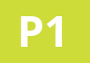 Pathology 1 AAST