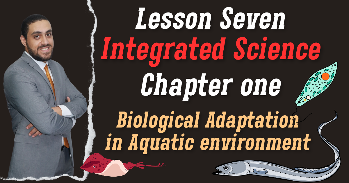 Lesson seven chapter one I.S