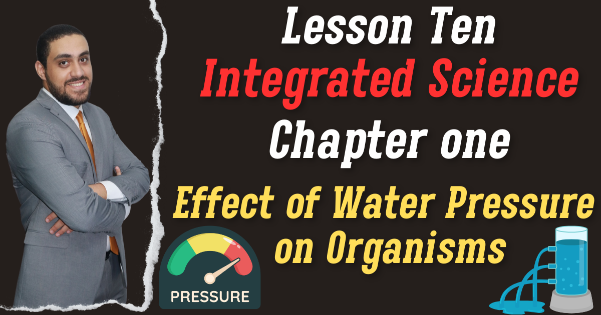 Lesson Ten chapter one