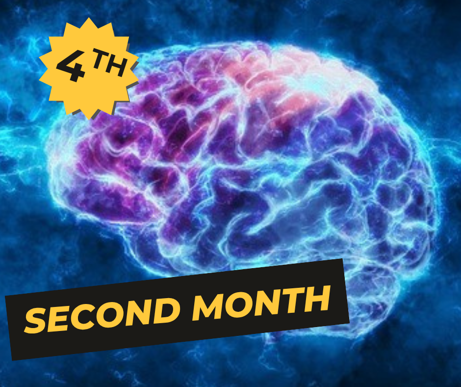 الصف الرابع الابتدائي اونلاين - الشهر الثاني