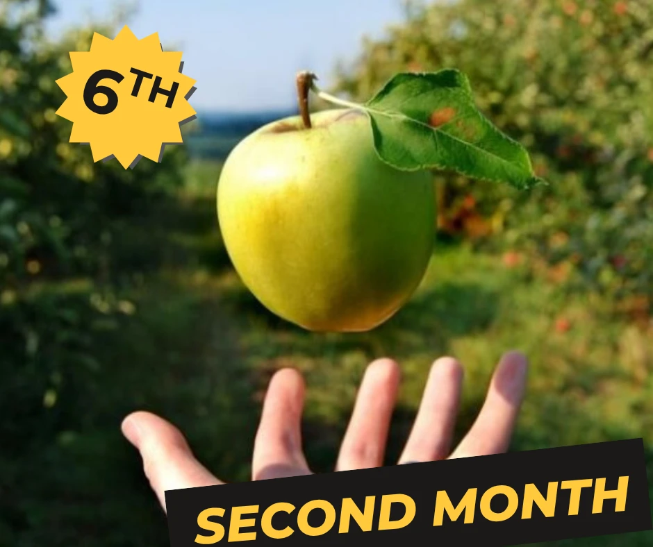 الصف السادس الابتدائي - اونلاين - الشهر الثاني