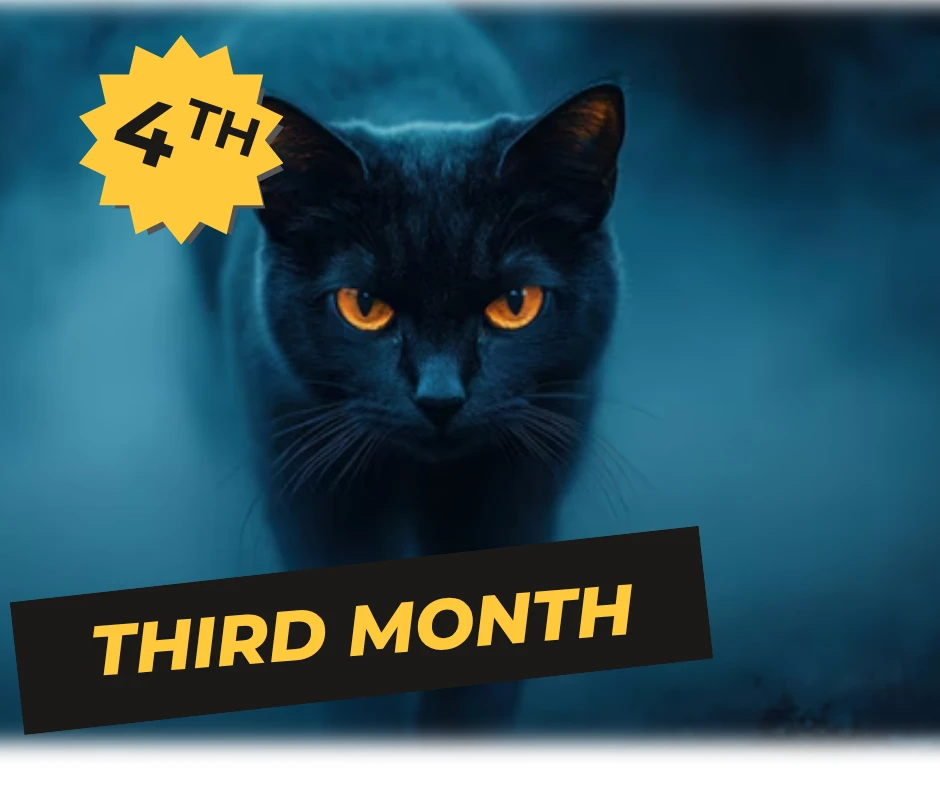 الصف الرابع الابتدائي اونلاين  - الشهر الثالث