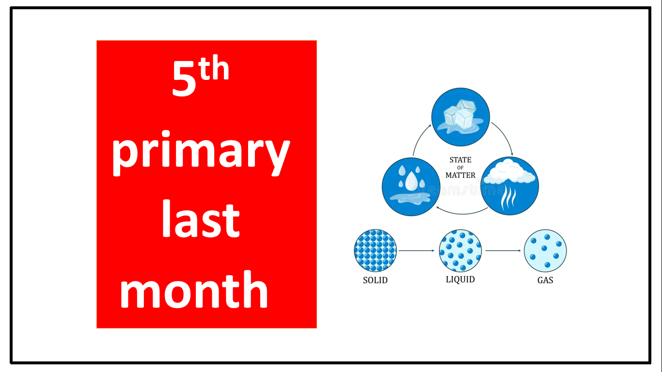 الصف الخامس الابتدائي - اونلاين - الشهر الأخير