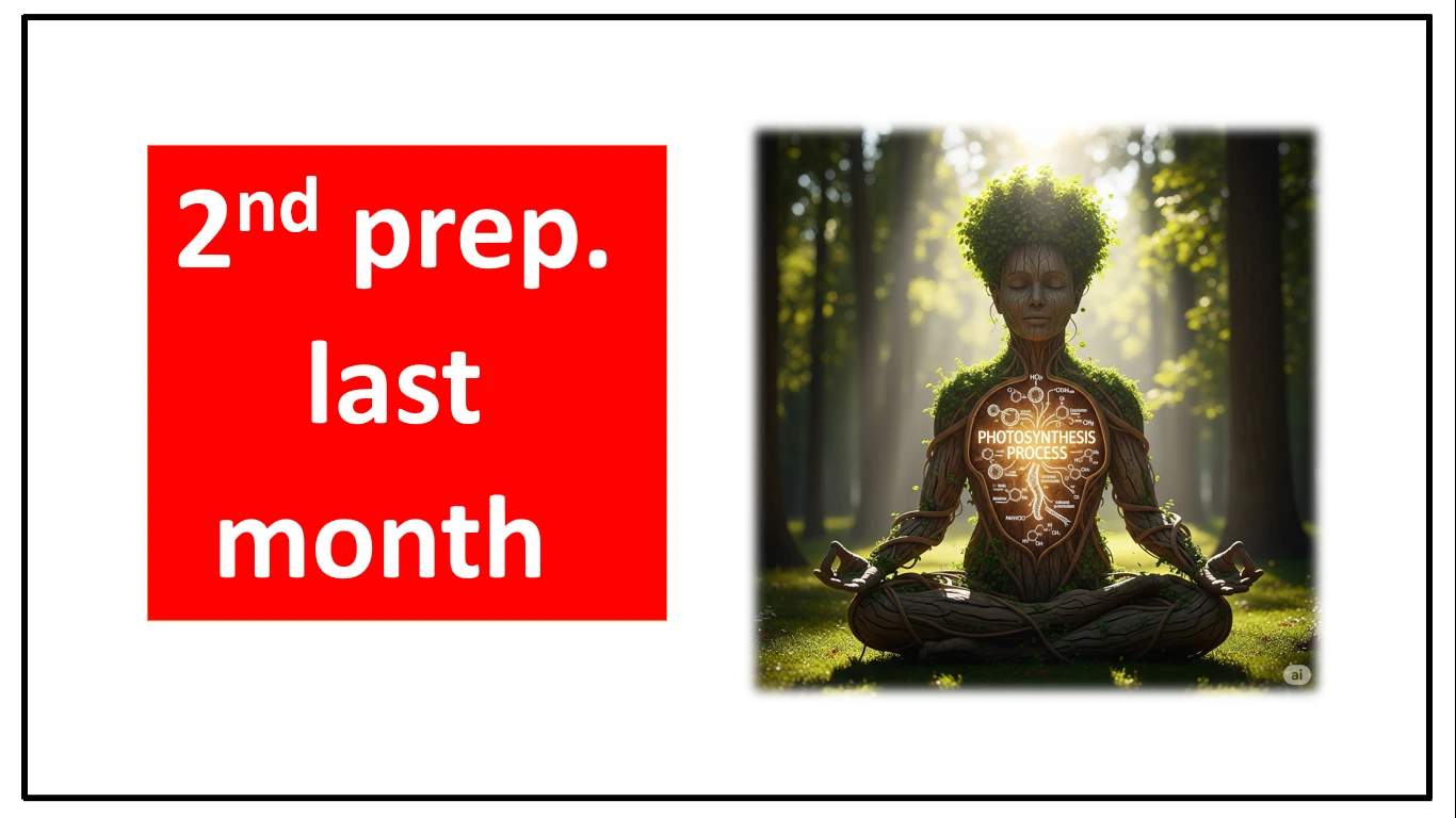 الصف الثاني الاعدادي -  اونلاين - الشهر الأخير