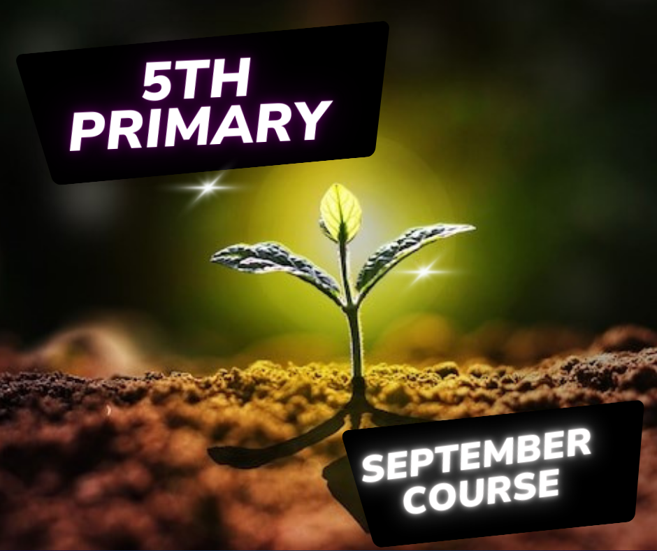 الصف الخامس الابتدائي - اونلاين - شهر 9