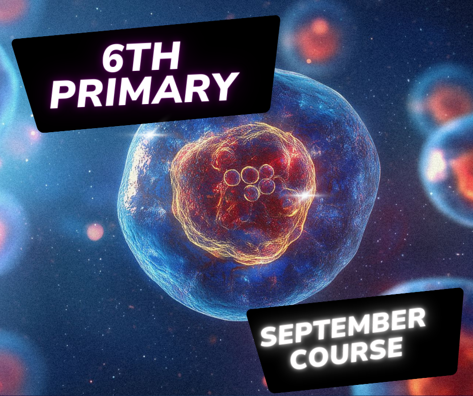 الصف السادس الابتدائي - اونلاين - شهر 9