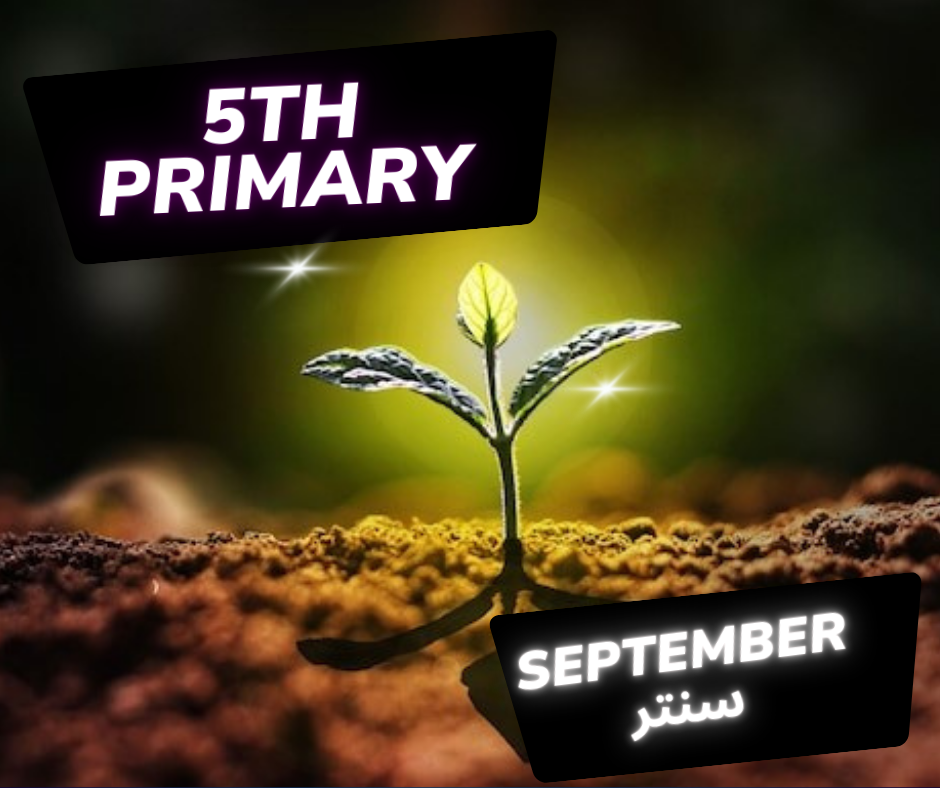 الصف الخامس الابتدائي - سنتر - شهر 9