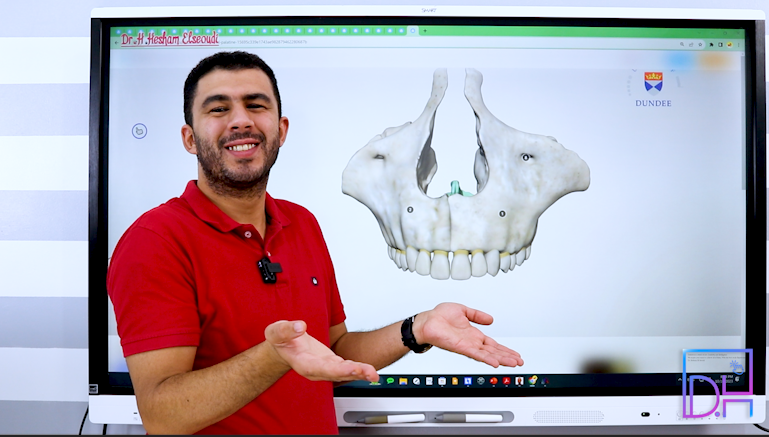 Dental Anatomy and Morphology 1