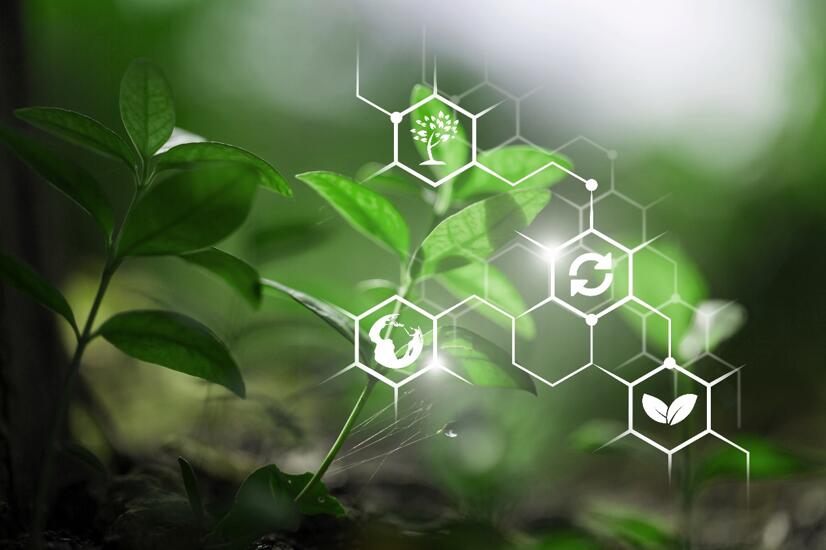 natural health product (NHP)