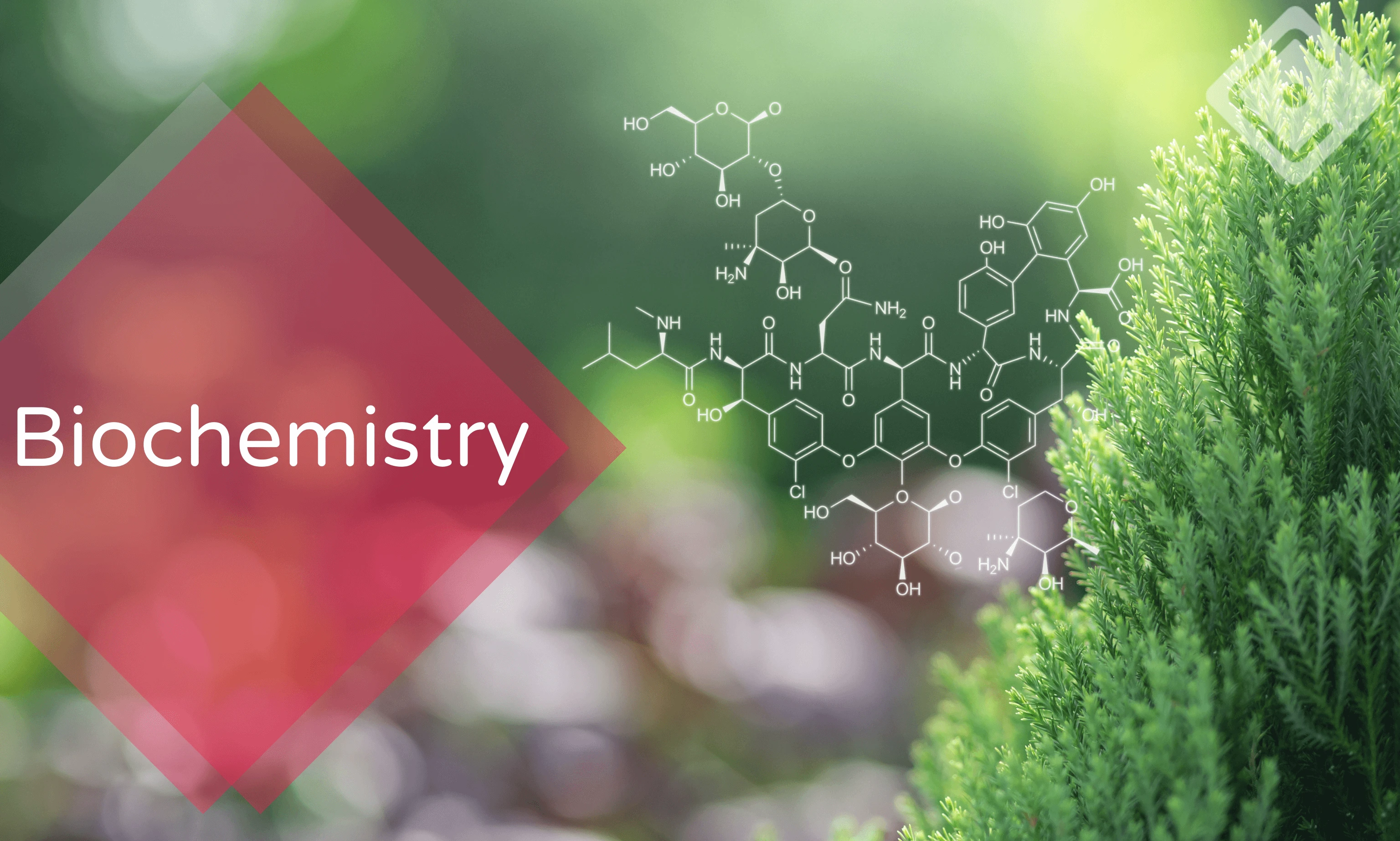 biochemistry one clinical