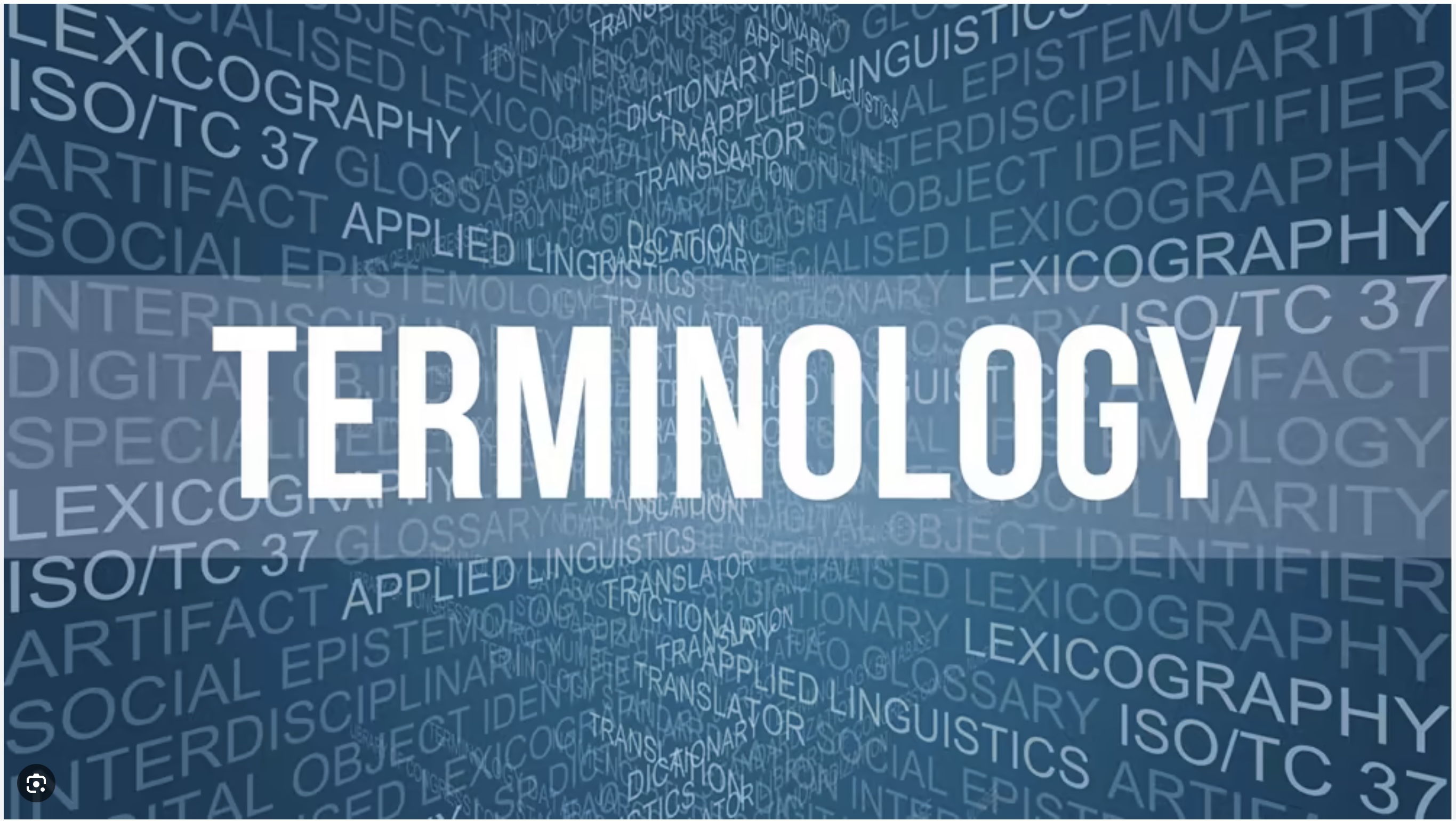 Terminology Ecu