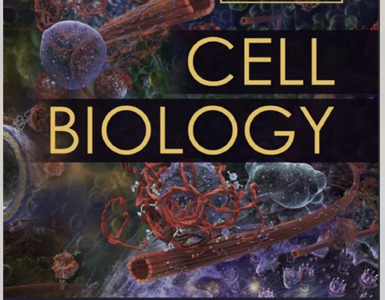 Cell biology Mnofia ahlya