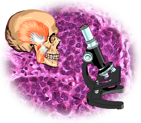 anatomy & histology (ECU)