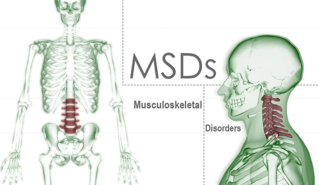 Musculoskeletal system - LV4 - G - Dr.Eslam Soliman