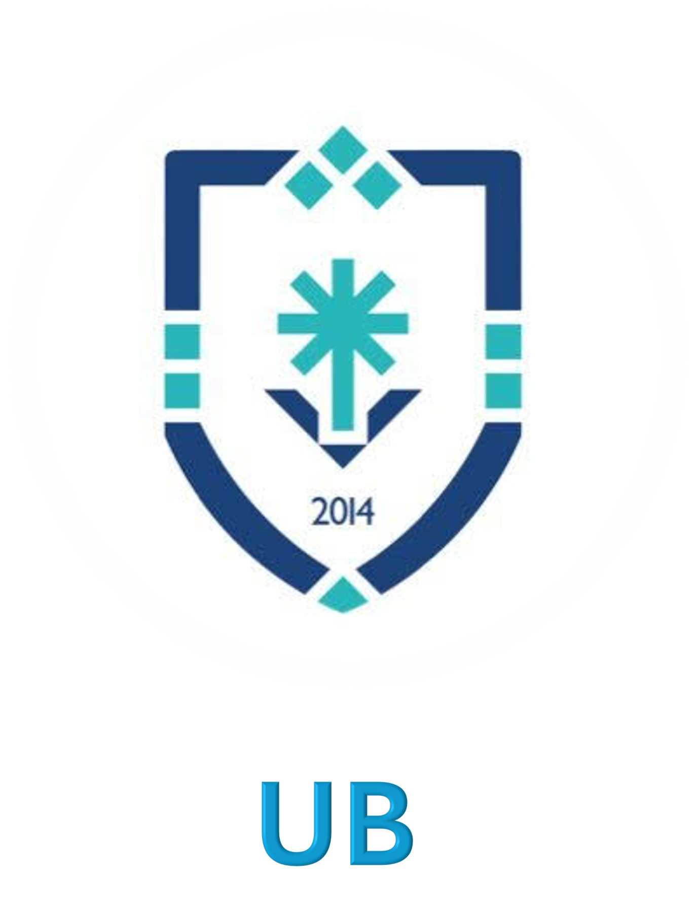 جامعة بيشة