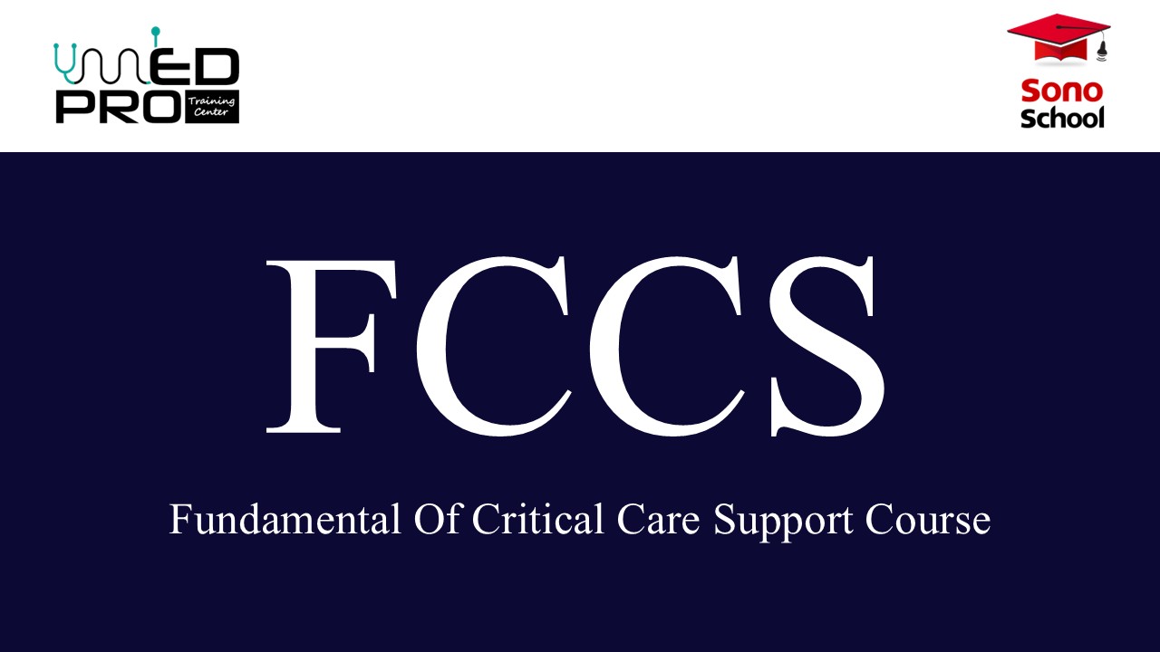 Fundamental Critical Care Support Course