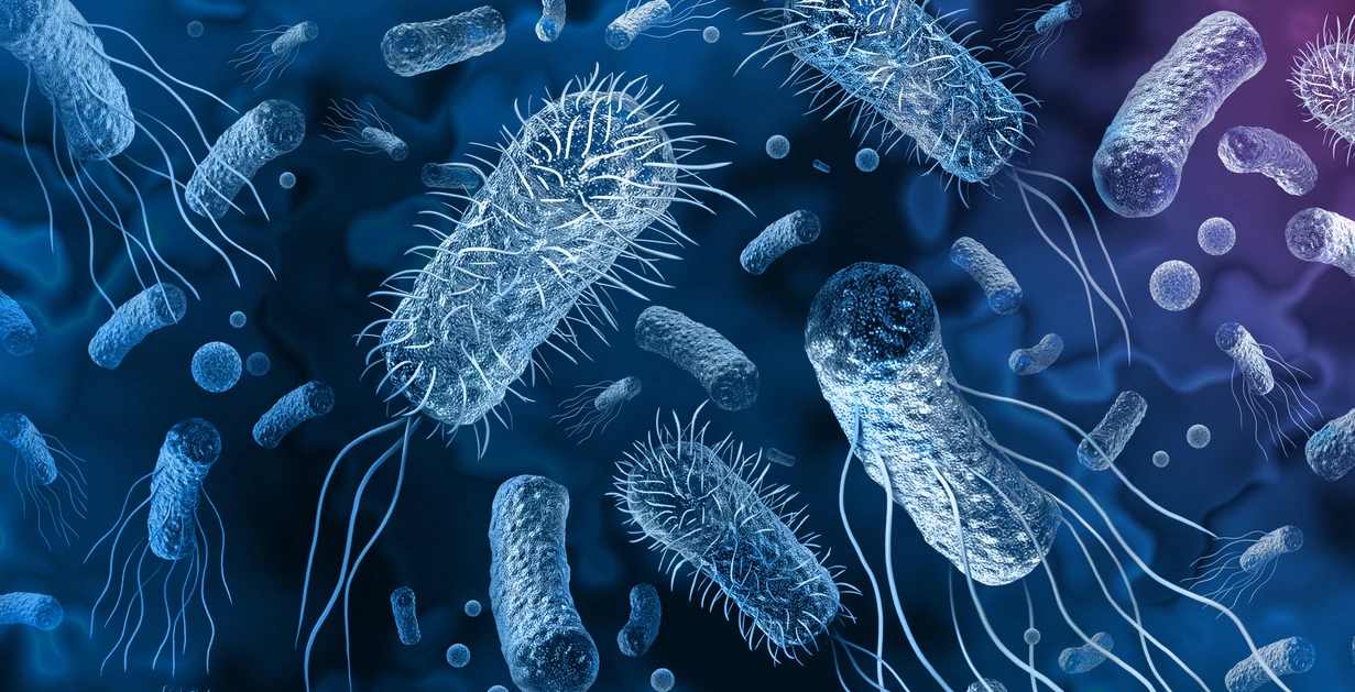 microbiology with Dr.Mohamed EL-shaer