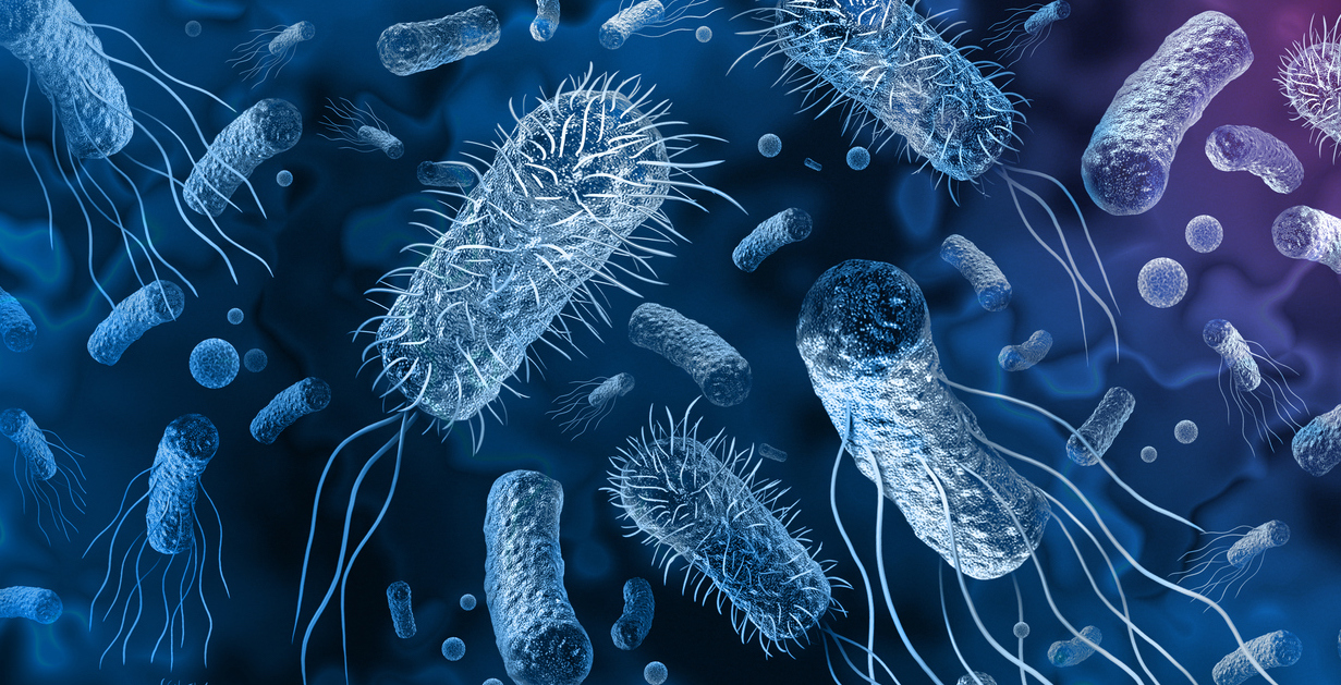 microbiology with Dr.Mohamed EL-shaer