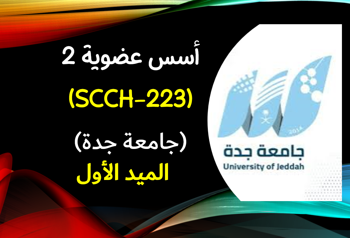 أسس عضوية 2 (SCCH-223) الميد الأول