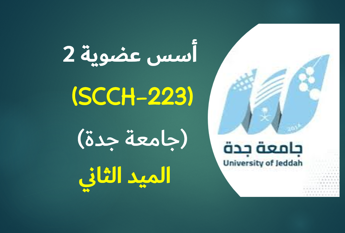 أسس عضوية 2 (SCCH-223) الميد الثاني