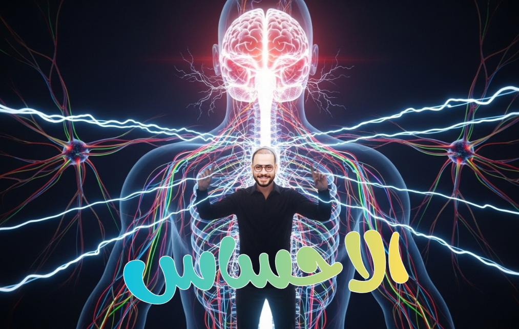 الإحساس - الدرس الرابع - علوم متكامله