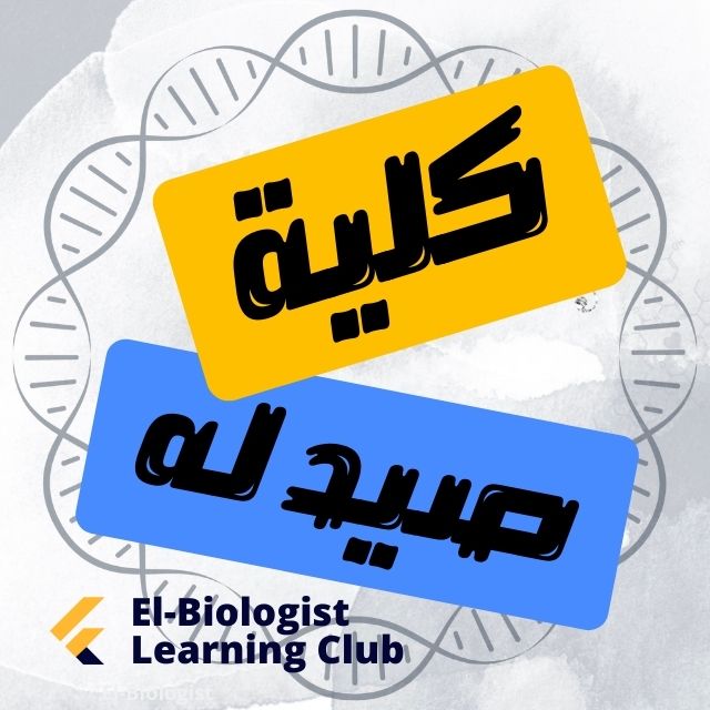 كلية صيدلة