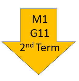 1st Month T2 Grade 11