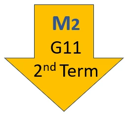 2nd Month T2 Grade 11