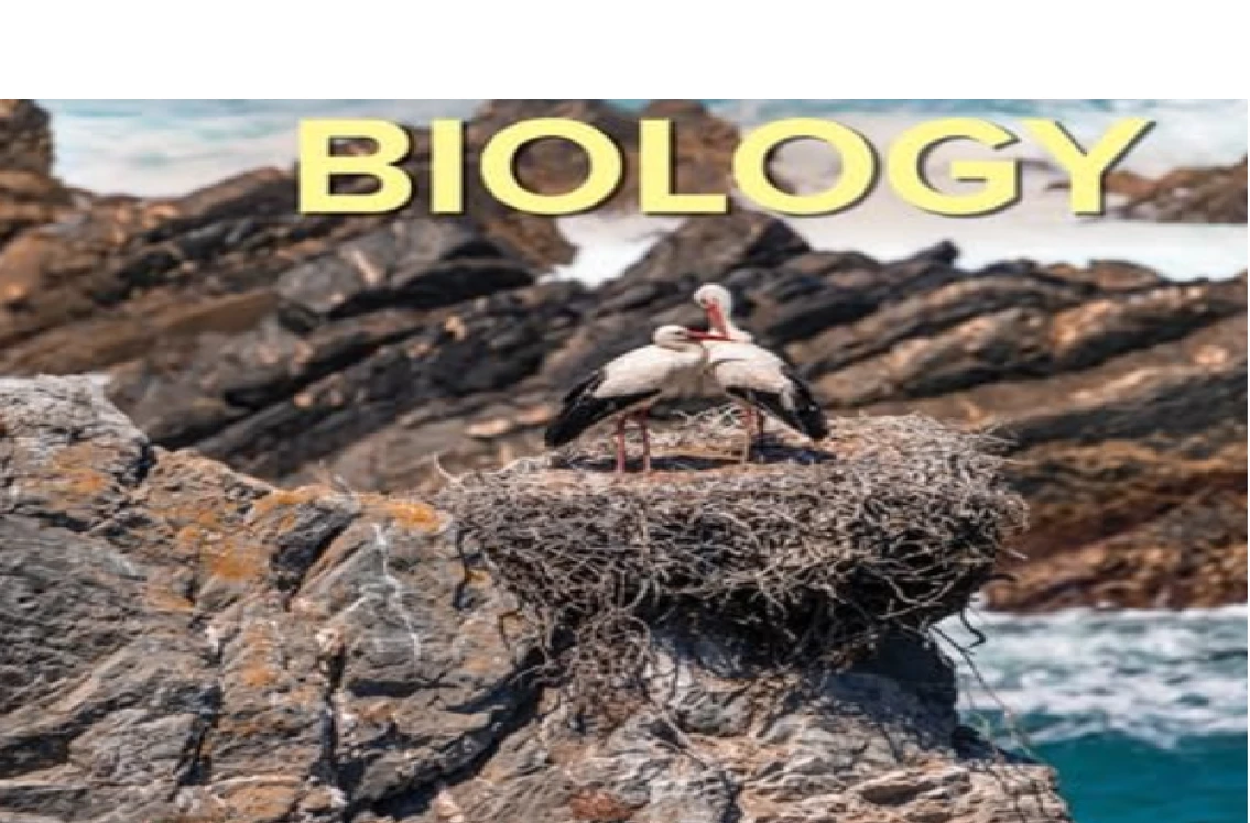 احياء التخصصات الصحية ( جامعة الملك خالد )