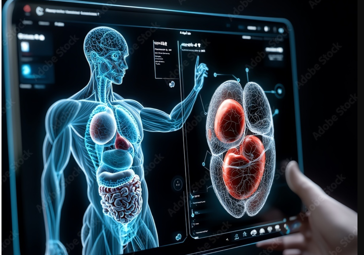 اناتومى كامز ( جامعة الحرس مستوى رابع )